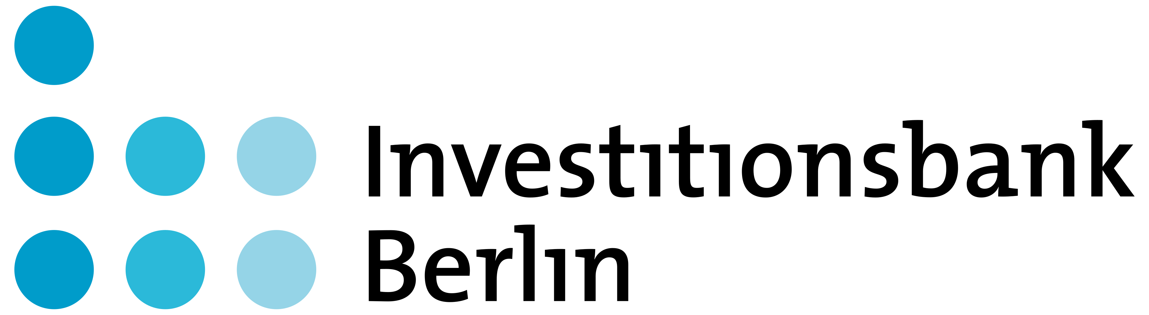 IBB Logo Platzhalter