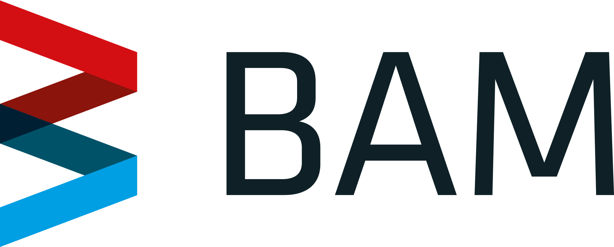 BAM Logo Platzhalter